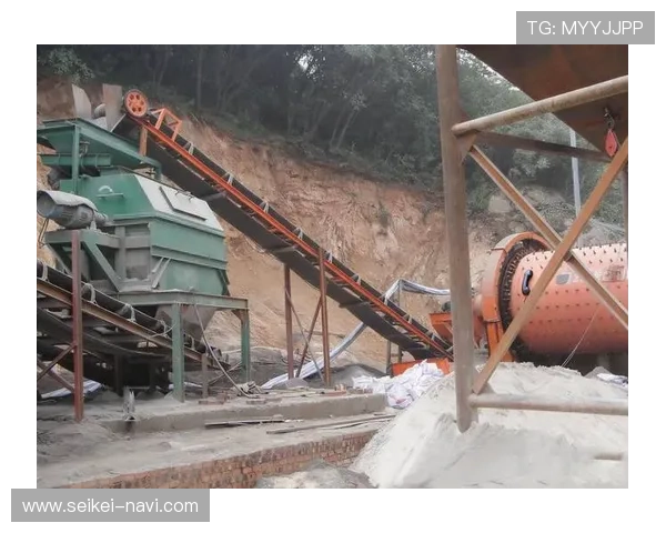 乐鱼直播体育频道开启多元化内容布局，满足不同用户群体的多样化观看需求